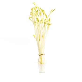 Petit pois blanc