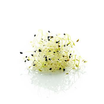 Nigelle