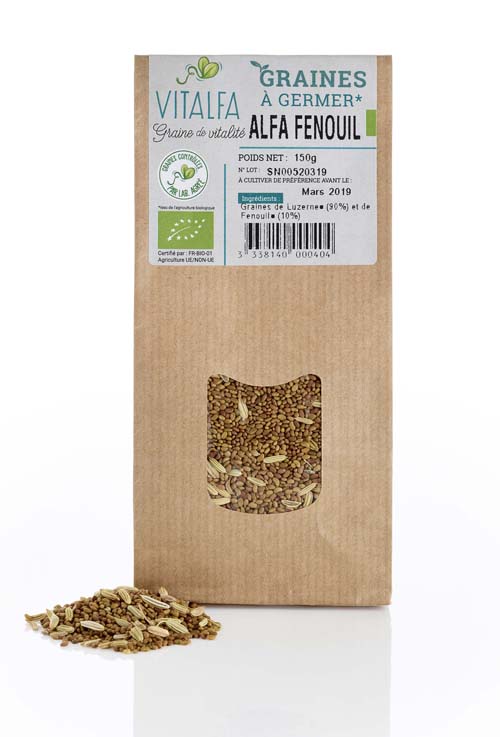 Alfa Fenouil à germer