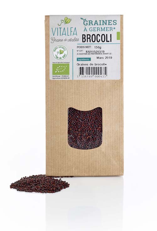 Brocolis à germer