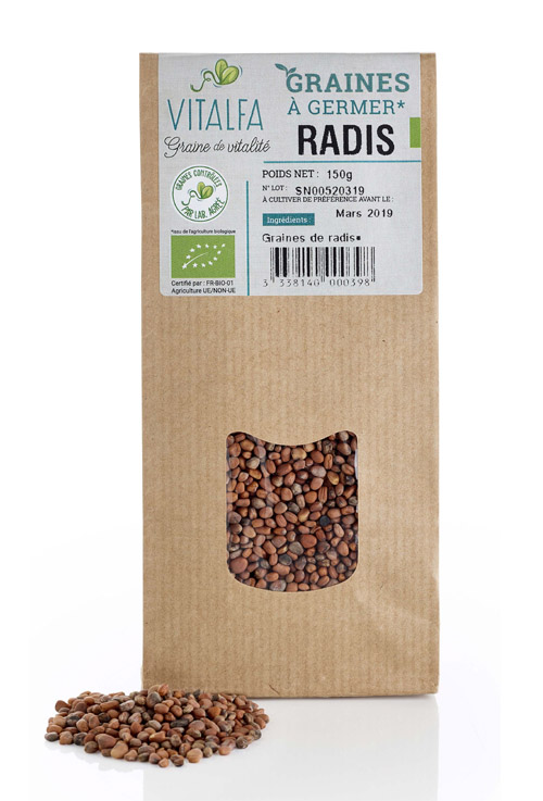 Radis à germer