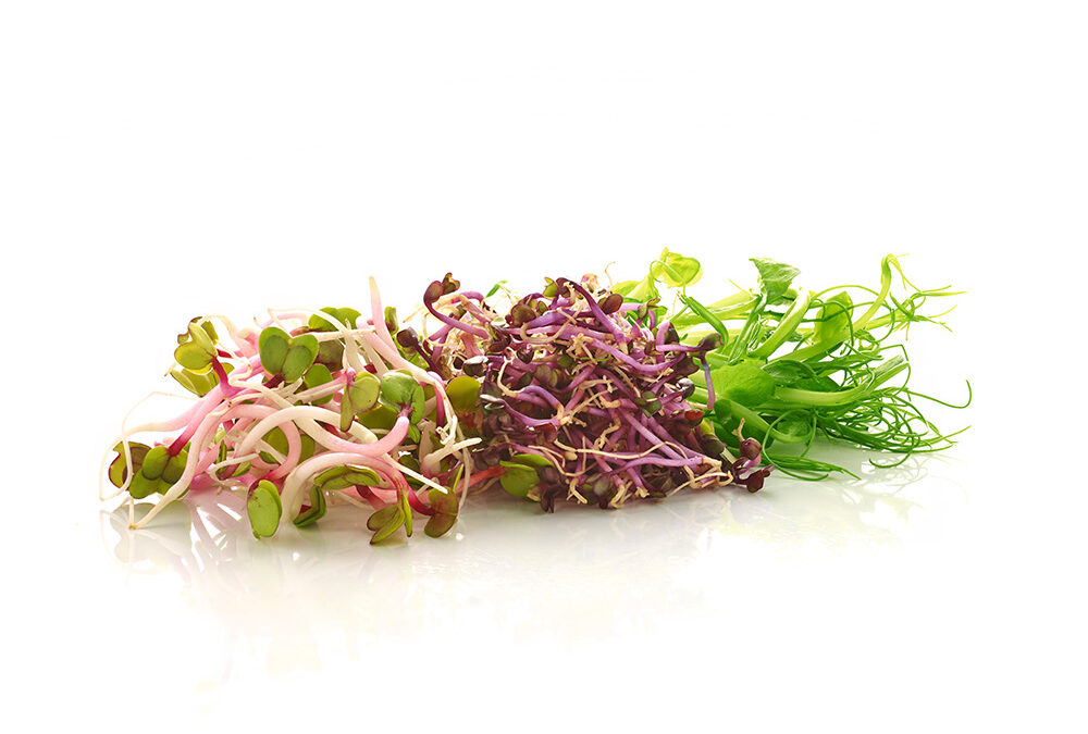 MÉLANGE SAVEUR