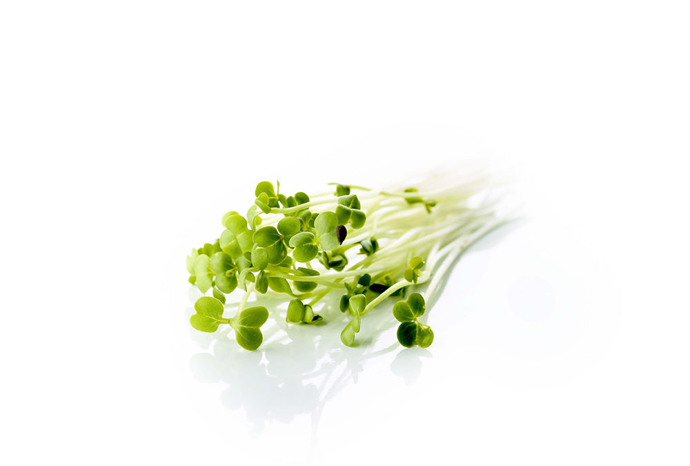 BB brocoli